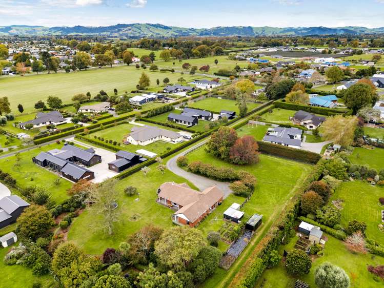 36 Roto O Rangi Road Leamington_30