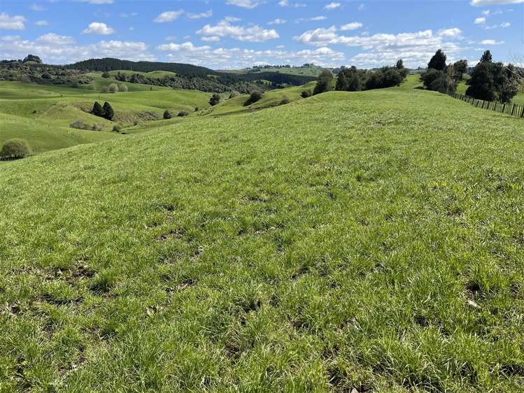 788 Troopers Road Te Kuiti_21