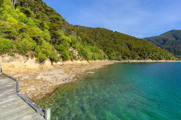 Curious Cove Curious Cove_18