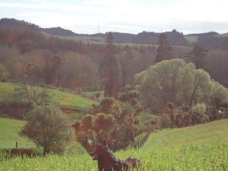 825 Opihi Road Pleasant Point_7