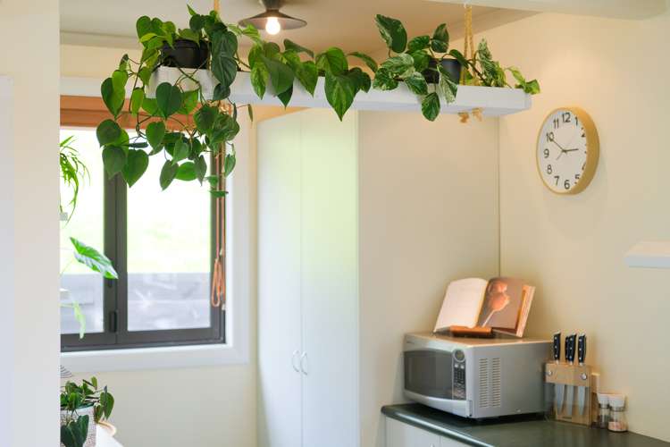 45 North Taieri Road Abbotsford_12