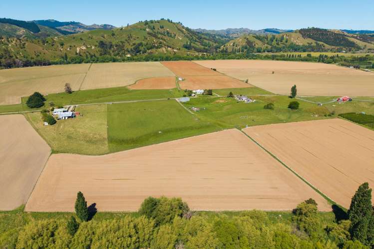 Lot Lot 2 DP 578365, Poynter Road Te Karaka_10