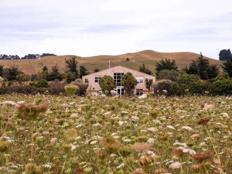 376 Ram Paddock Road Waipara_7