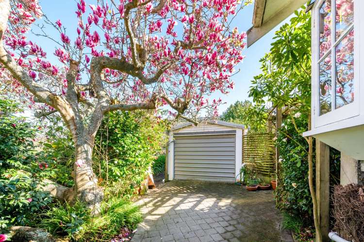 17 Te Aroha Street Hamilton East_27