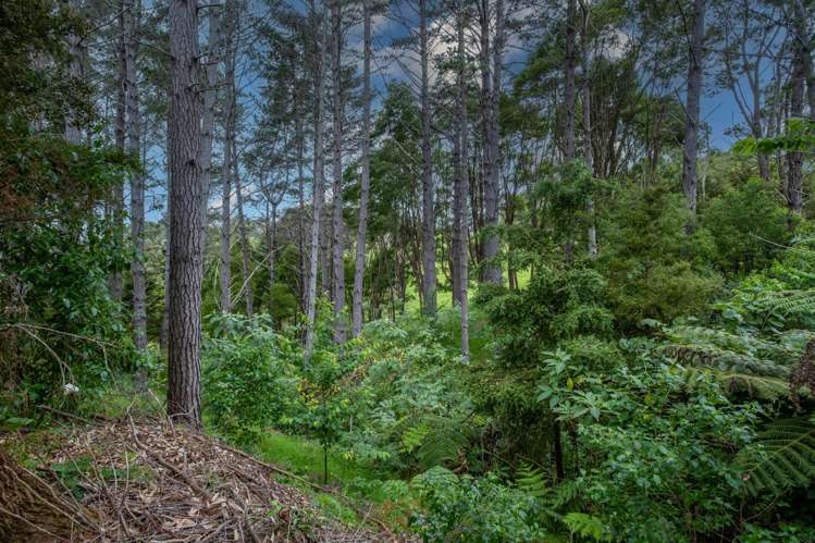 309A Larmer Road Kaitaia_29