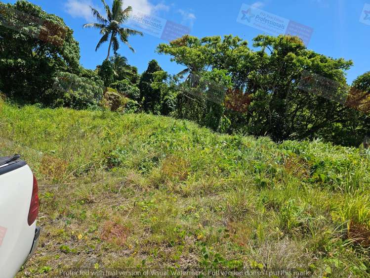 Address withheld Savusavu_14