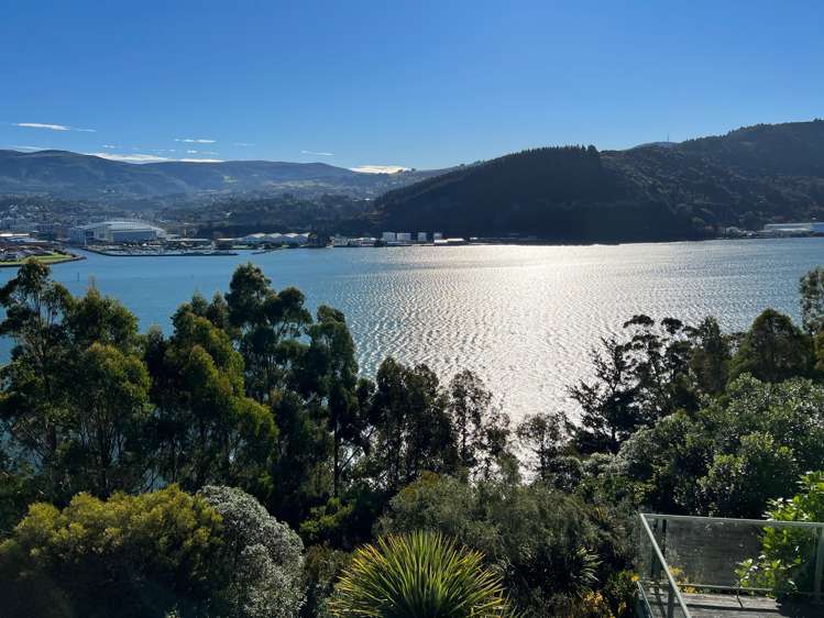 149 Doon Street Waverley_19