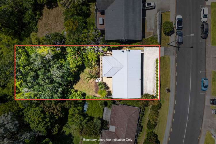 105 Sunrise Avenue Mairangi Bay_21