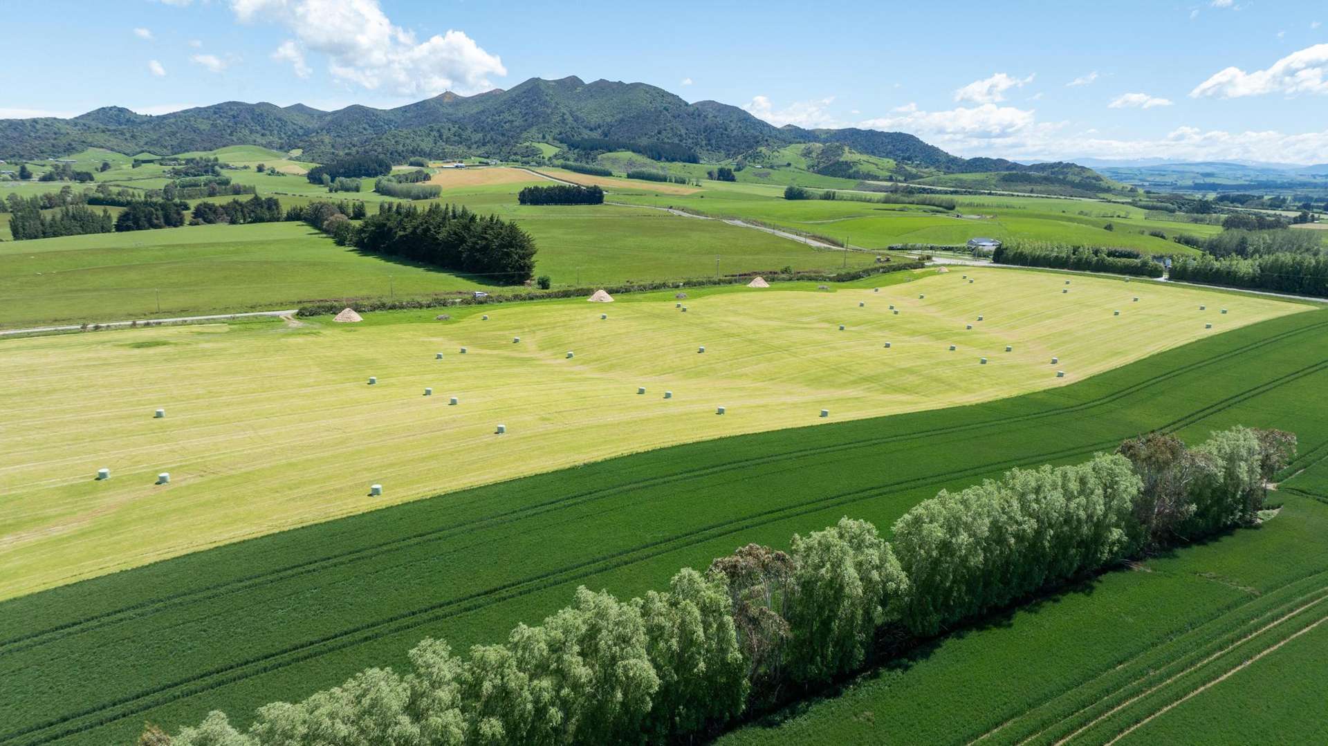 205 Reaby Road Gore_0