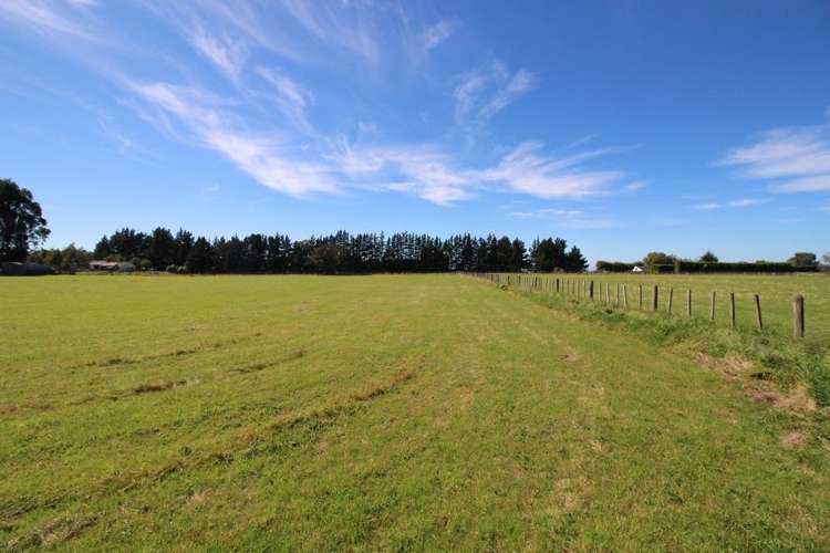 112 Calico Line Marton_56