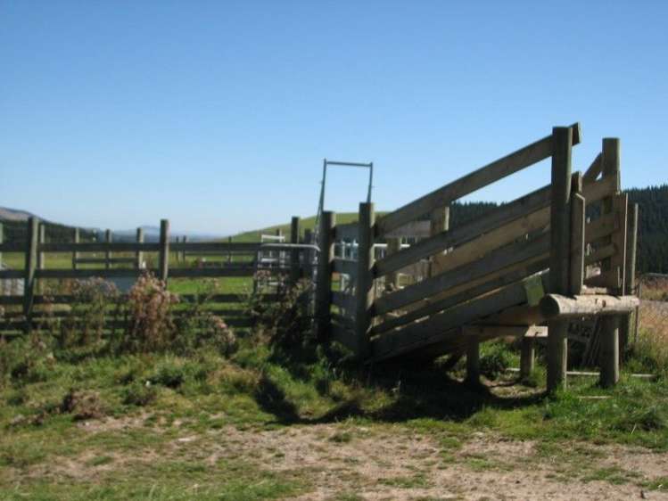 183 Gunn Road Catlins Surrounds_8