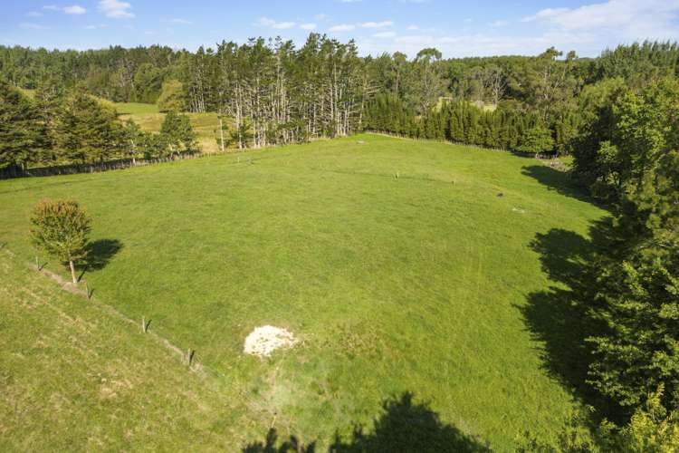 10 Dairy Stream Road Dairy Flat_16