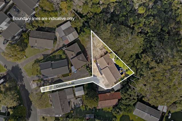 3A Aralia Road Sunnynook_1