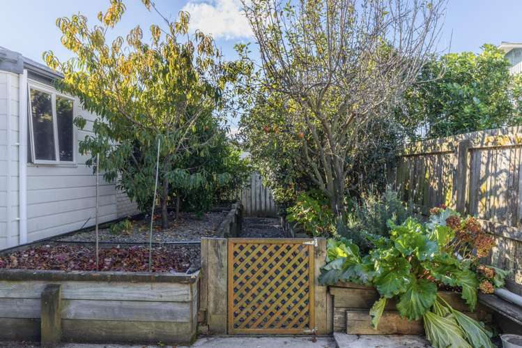 1 Mcilwaine Place Marton_13