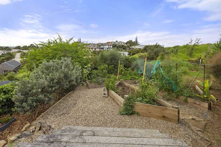 21 Primrose Street Raglan_9