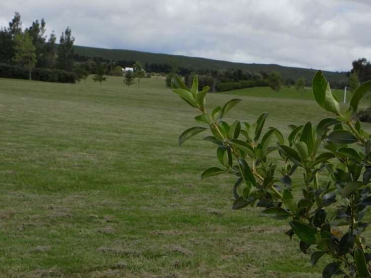 9 Eagle Place Martinborough_11