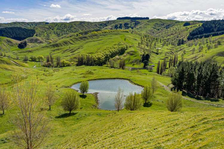 683 Bush Road Wallingford_38