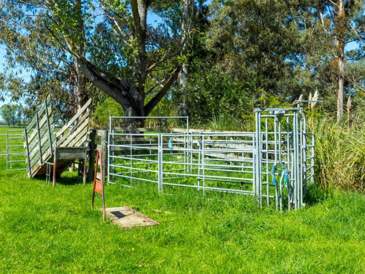 178 Main North Road Geraldine_12