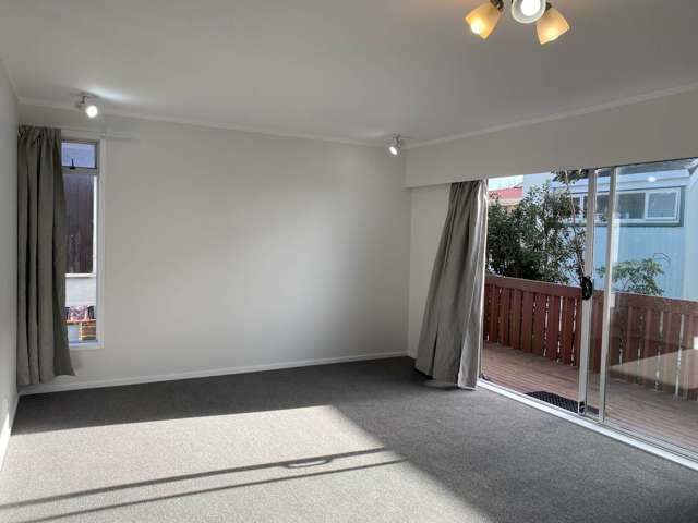 5c Ngatiawa Street One Tree Hill_3