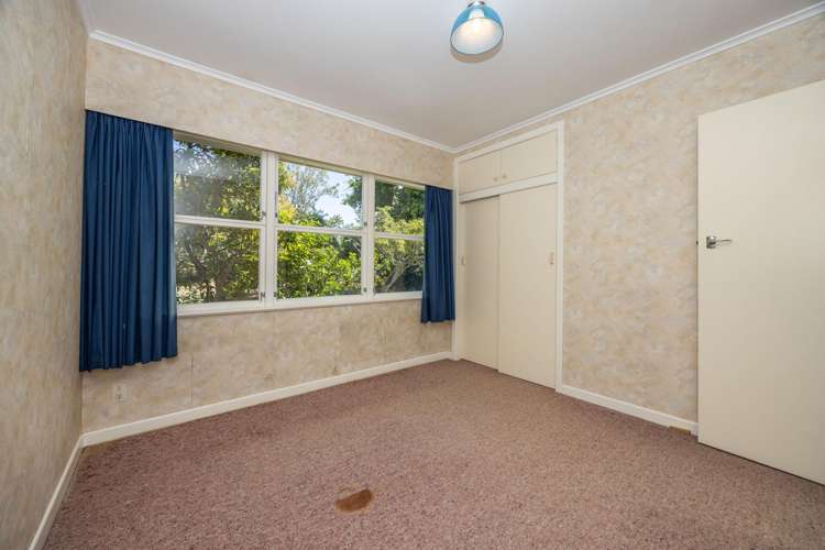 268 Marychurch Road Matangi_18