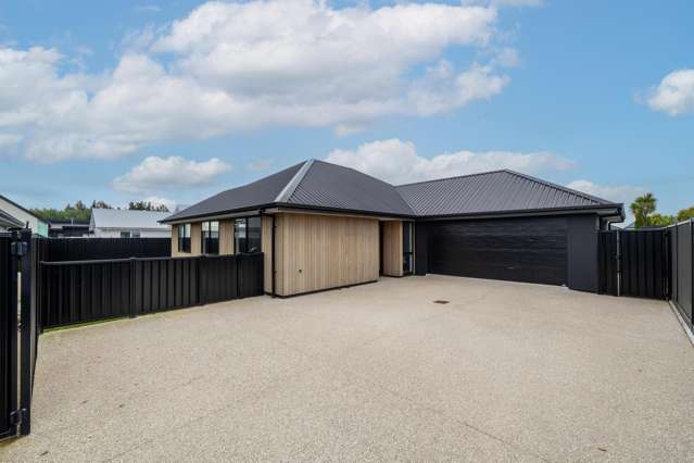 99 Hoffman Court Waikiwi_1