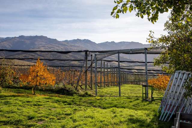 41 Cooper Lane Mount Pisa_4