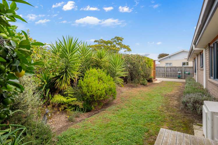 213a Maxwell Road Redwoodtown_5