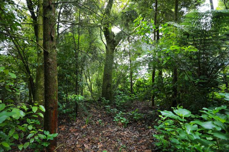 285 Spencer Road Lake Tarawera_25