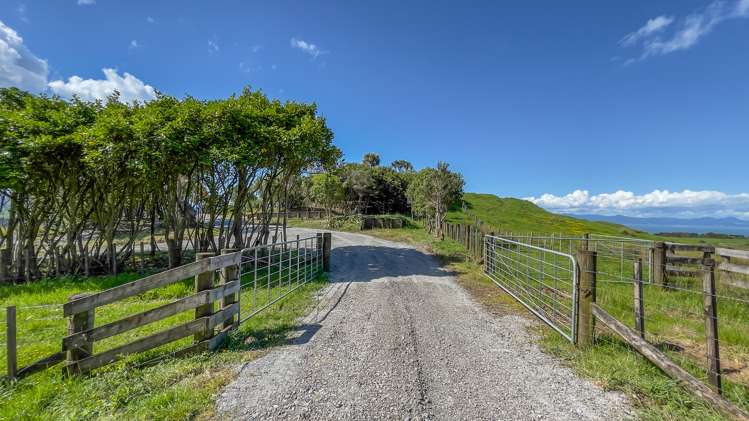 457c Findlay Road Miranda_22