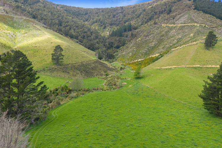 650 Ronga Road Rai Valley_34