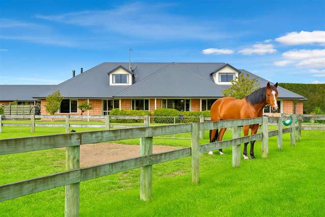 Equestrian Dream Property