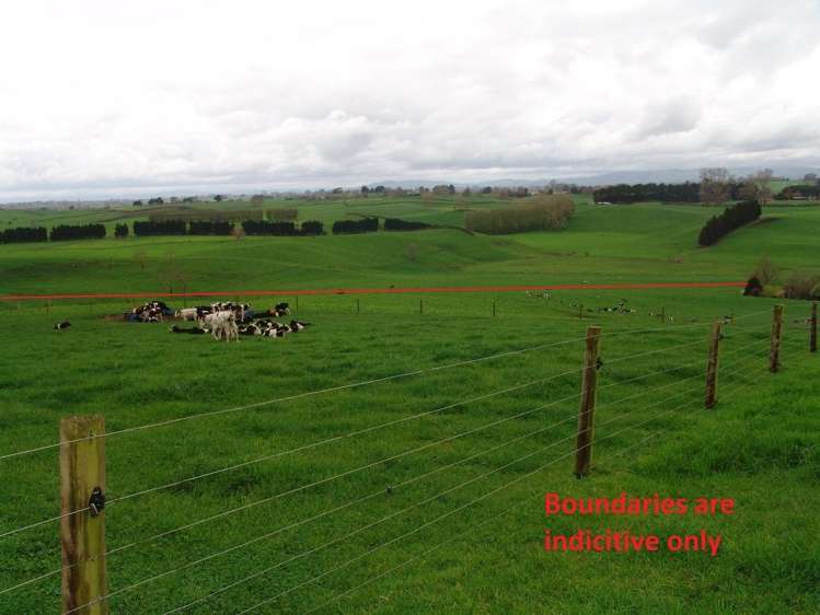 246 Kakepuku Road Te Awamutu_7