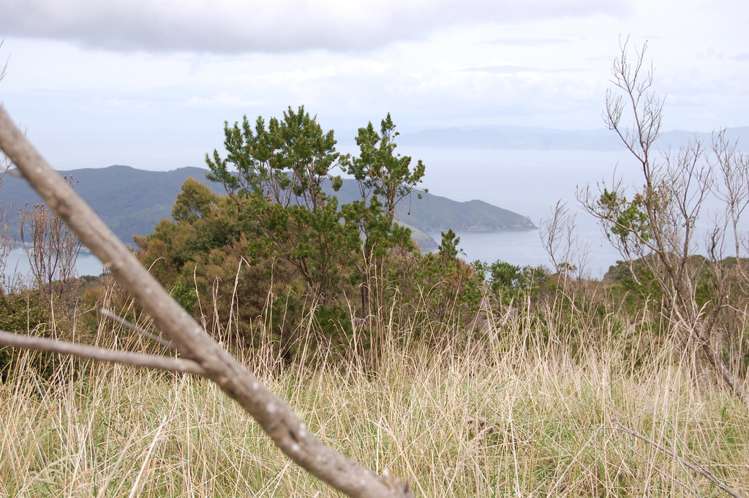 230 Schooner Bay Road Great Barrier Island (Aotea Island)_8