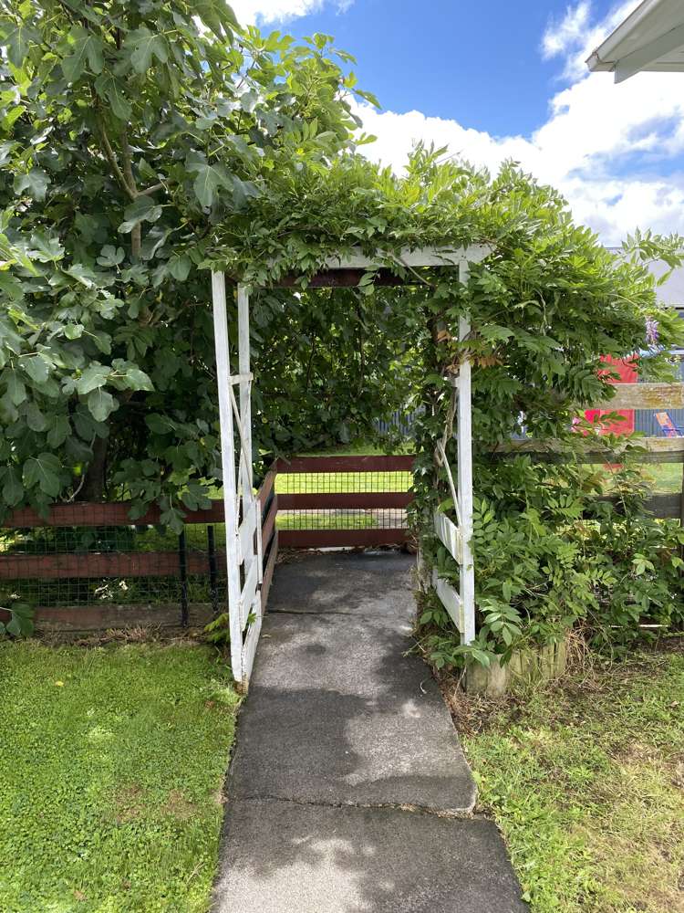 32 Bedford Street Eltham_15