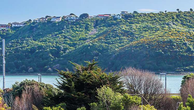 8 Romesdale Road Papakowhai_15