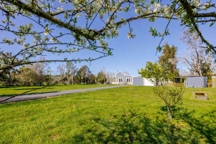 537 Lake Station Road Flemington_17