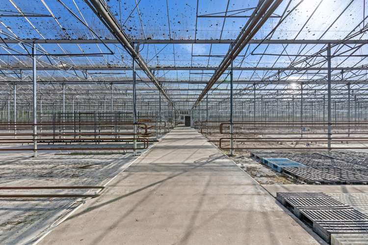 2404 Tram Road West Eyreton_20