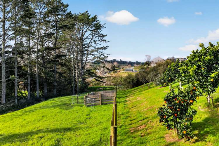 25 Lupis Way Kaiwaka_31