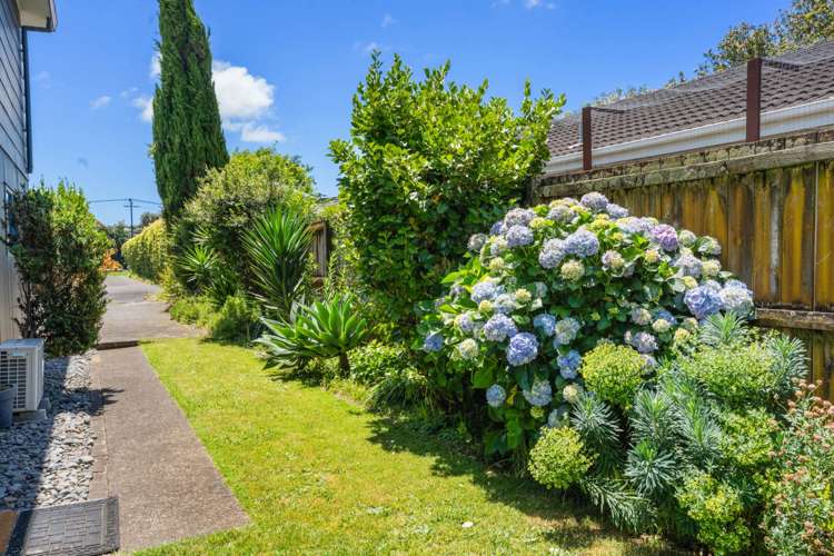 2/35 Grotto Street Onehunga_3