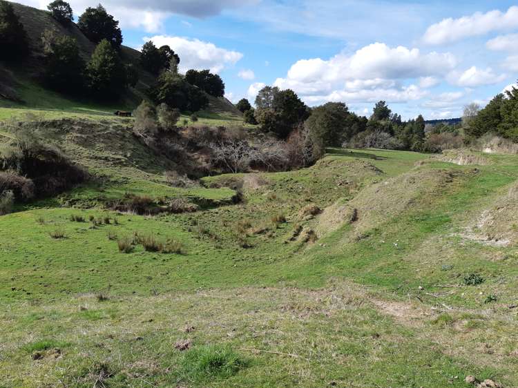 71 Pongahuru Road Taumarunui_5