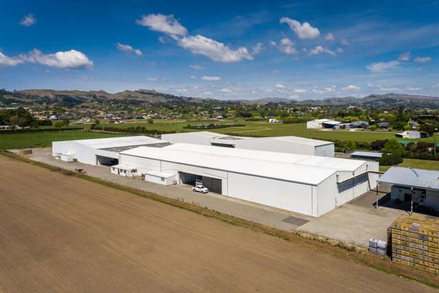 13 Thompson Road Havelock North_2