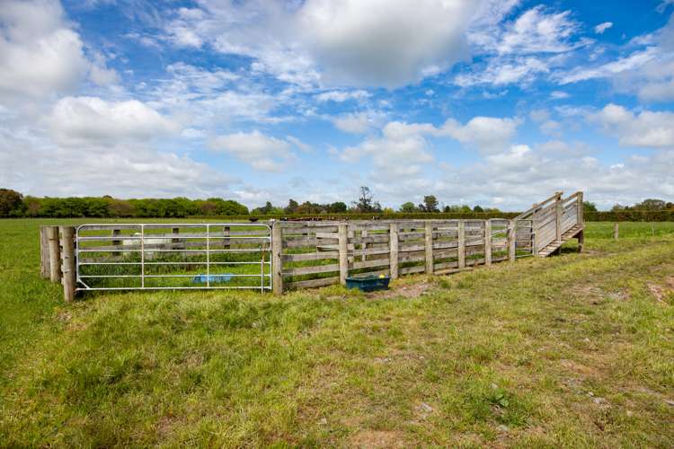 231a Stanley Road Te Aroha_7