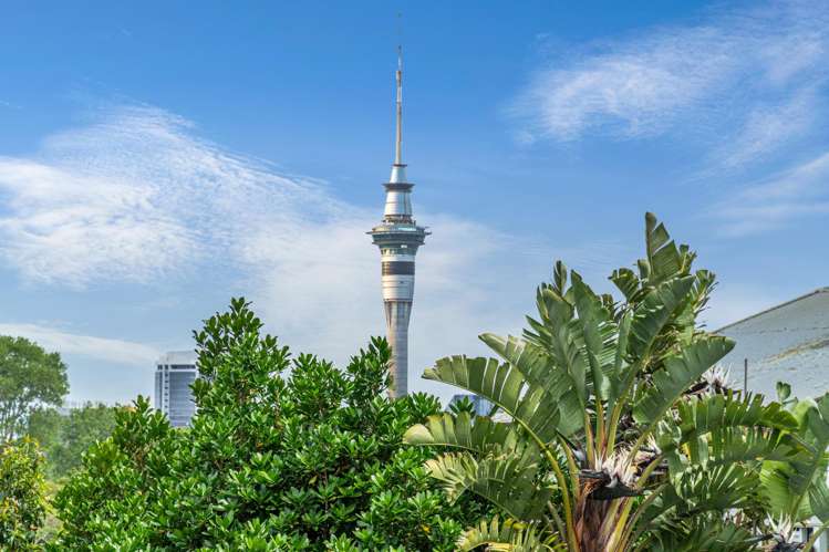 202/431 Parnell Road Parnell_5