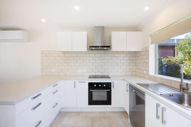 21a Rangitira Avenue Palmerston North Central_1