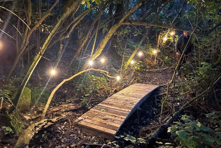 456 Barrett Road Omata_33