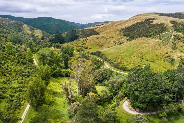 671 Saunders Road Tiraumea_19