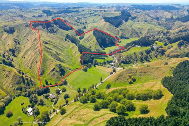 Lot 1, Longacre Road Okoia_3