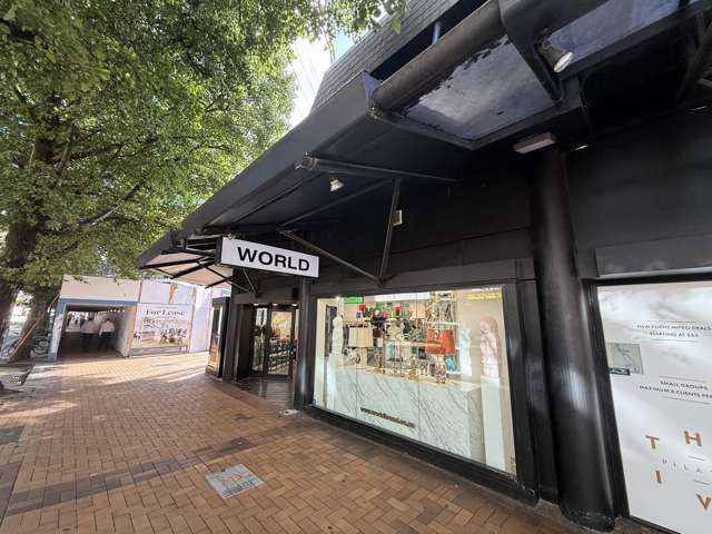 1/29 Manners Street Wellington Central_2