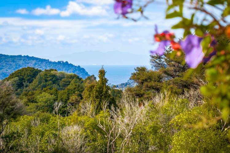 147 Green Hollows Road Puhoi_41