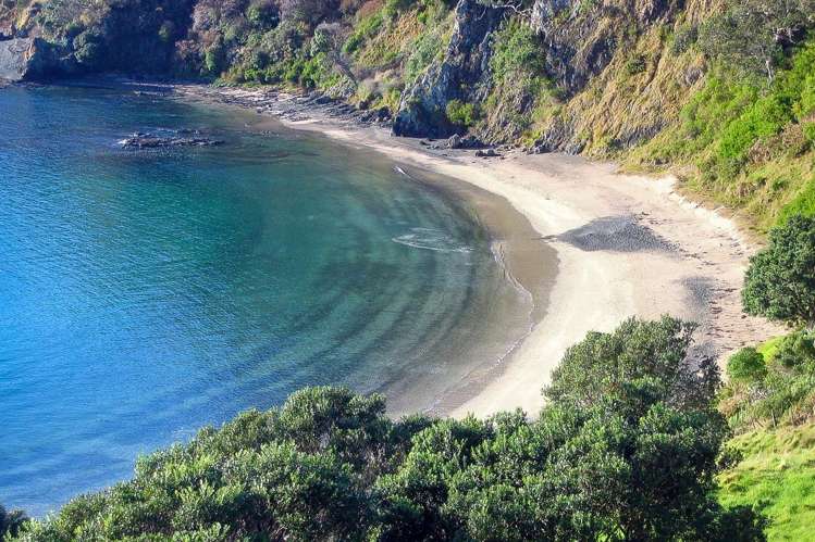 Share 2 Moturoa Island Russell_11